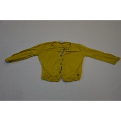 gilet jaune